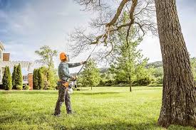  Carbondale, IL Tree Removal and Landscaping Services Pros